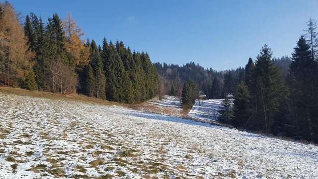 Виллы Bacówka w sercu gór - dom z bali w Gorcach Лопушна-155